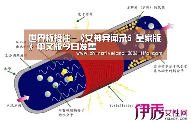 世界杯投注-《女神异闻录5 皇家版》中文版今日发售(图1) 世界杯投注