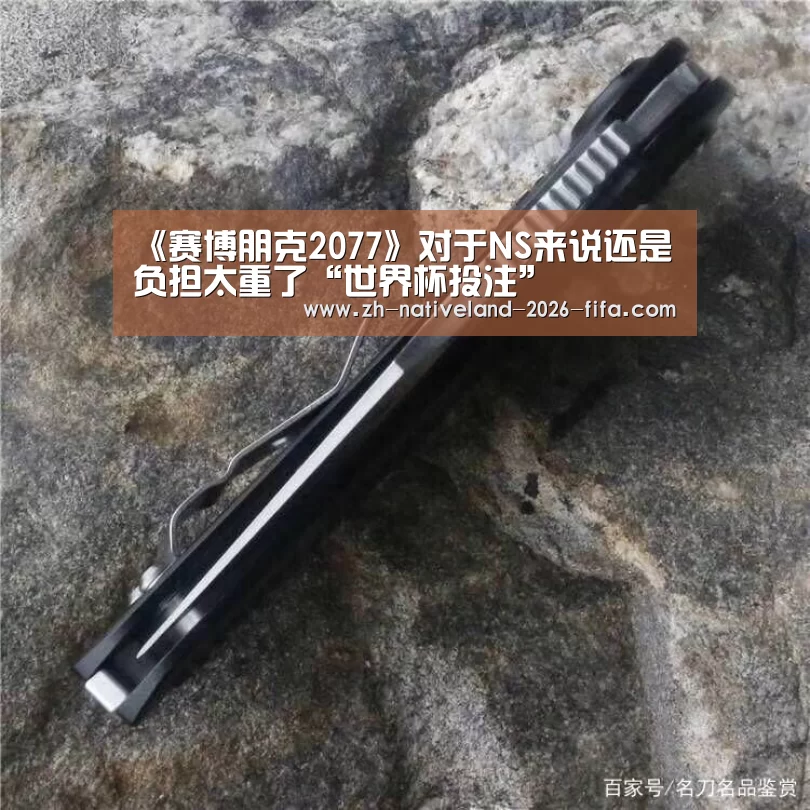 《赛博朋克2077》对于NS来说还是负担太重了“世界杯投注”(图2) 世界杯投注
